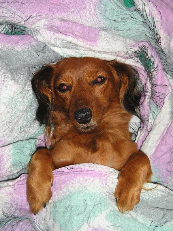 Foto: ..je�t� 10 minut...:)-Nelinka