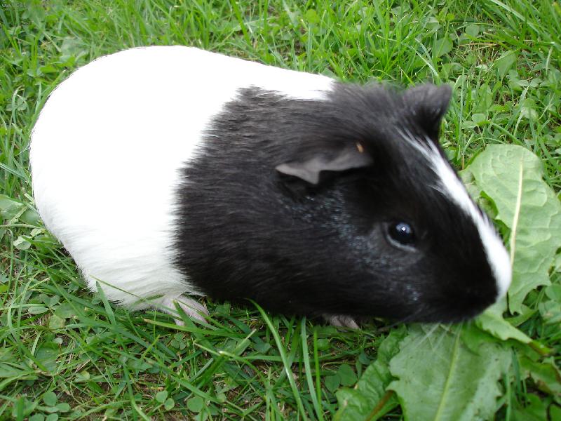 Foto: mor�e Bert�k