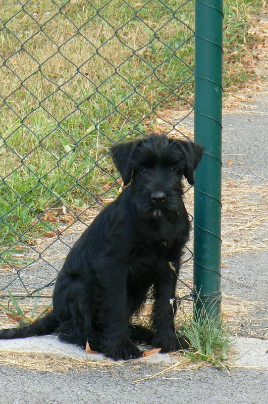 Foto: Na str�i-Hl�d�m vstup, za pi�kot m��e� j�t