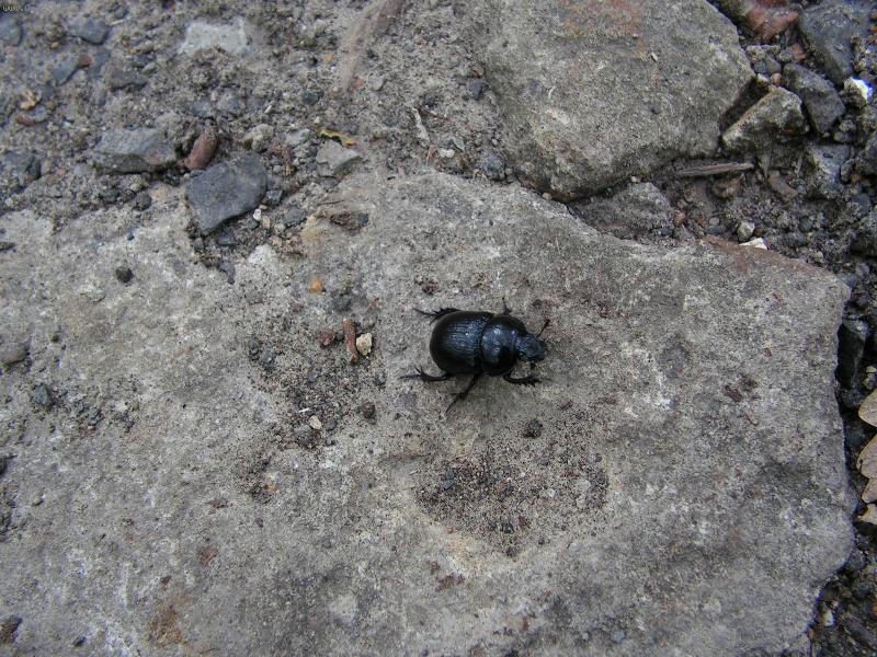 Foto: broucek-jdu cestou necestou