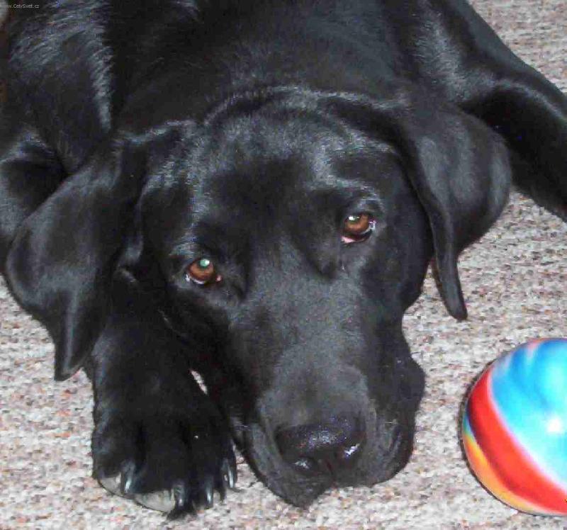 Foto: Cindy-U n�s v obyv�ku...