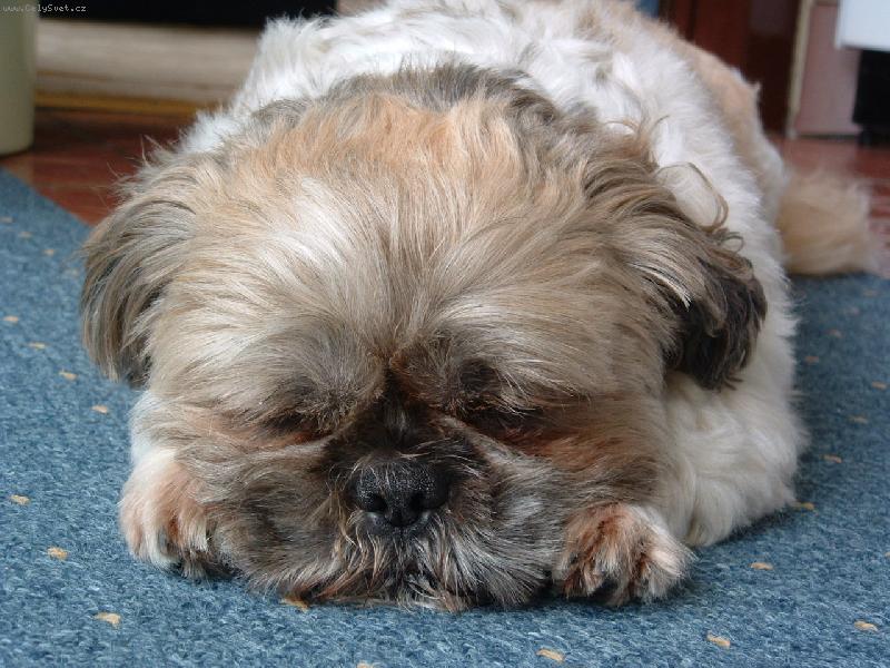 Foto: Pohod��-M�t v�e pod kontrolou