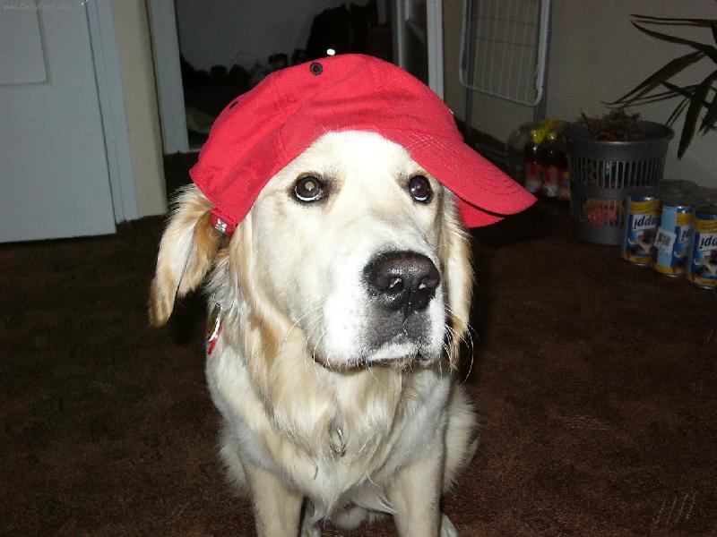 Foto: To jsem ale fe��k....-Buddy