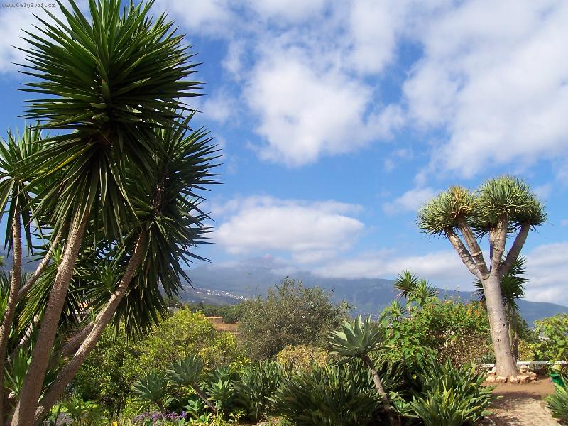 Foto: Tenerife