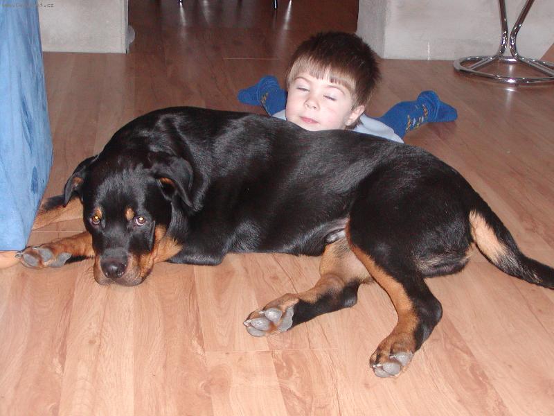 Foto: Unaven�-Daniel a Arwen po n�ro�n�m dni