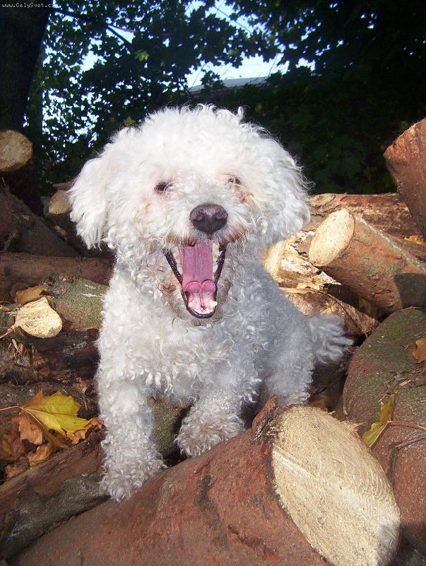 Foto: Uh���-�r��