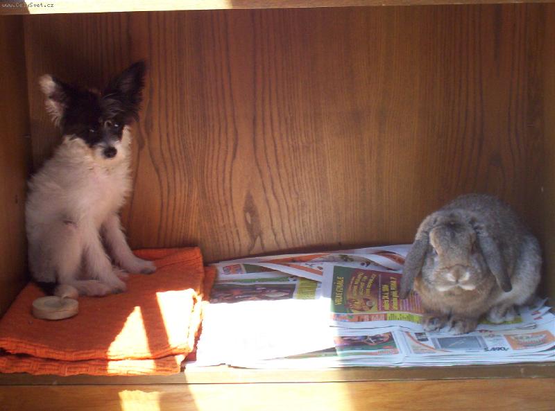 Foto: spolubydl�c�-spolubydl�c�