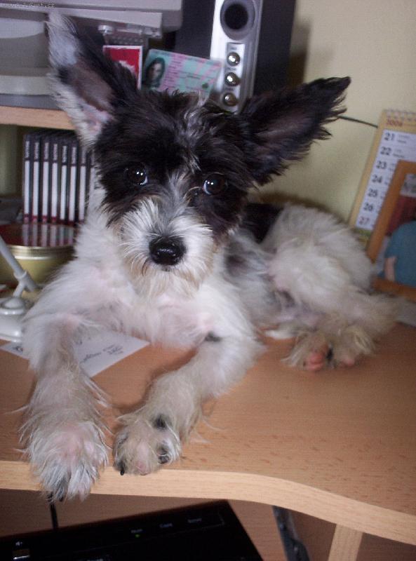 Foto: p�eme email-p�eme email