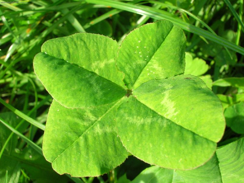 Foto: �t�st��ko