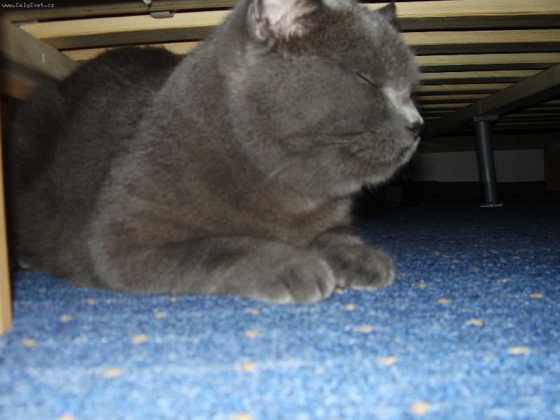 Foto: P�em��l�m, neru�it!