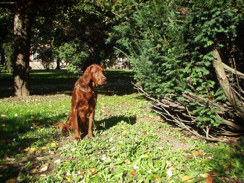 Foto: Rusty-na �ekan�