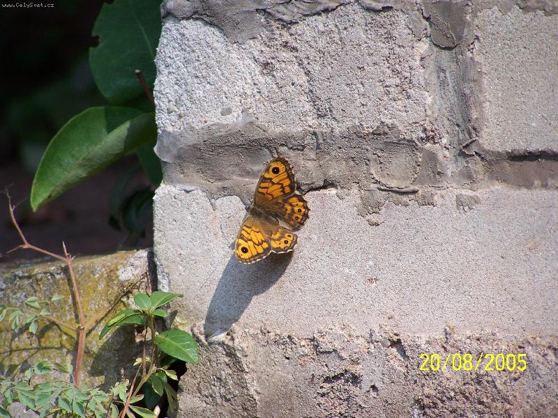 Foto: unaven� Mot�l