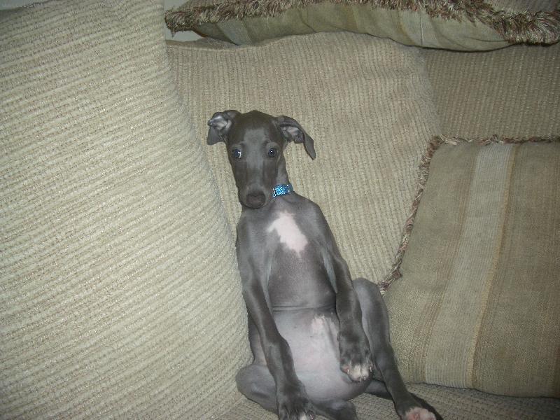 Foto: klidne posezeni na gauci