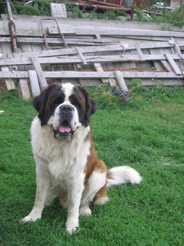 Foto: C�zar-jso mu 2 roky