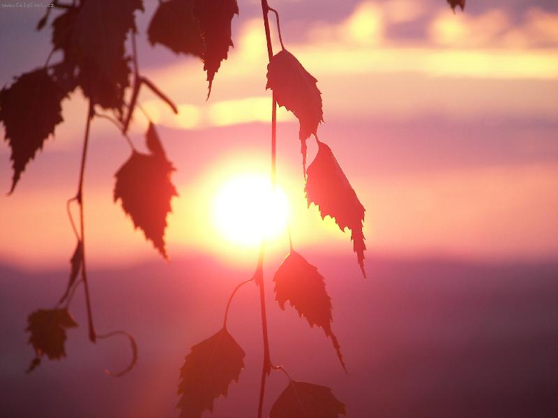 Foto: Z�pad slunce...