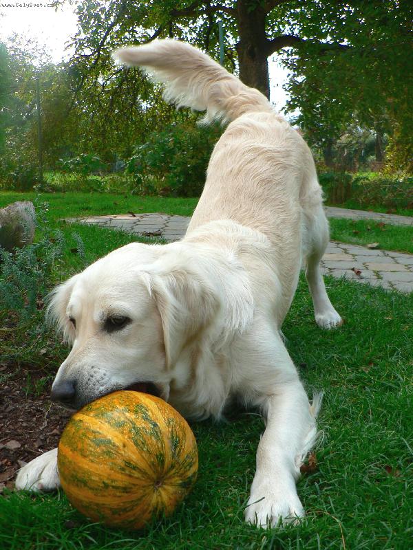 Foto: Eminka s d�n� :-)