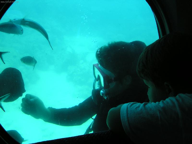 Foto: Kuba v ponorce a pot�p��