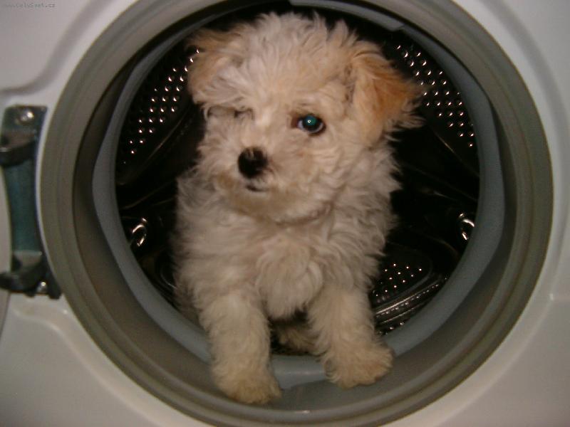 Foto: cistota nade vse