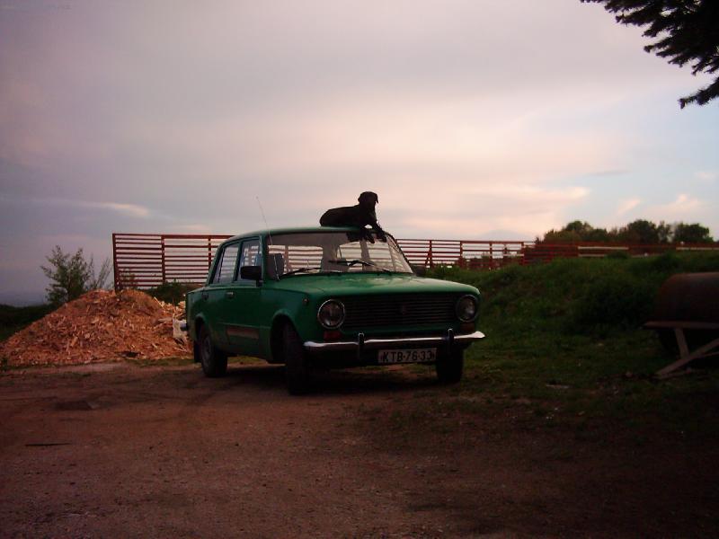 Foto: Bob�k a jeho auto-Bob�k a jeho auto