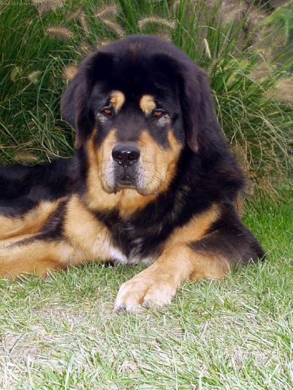 Foto: Bei Shan-fe��k:-)