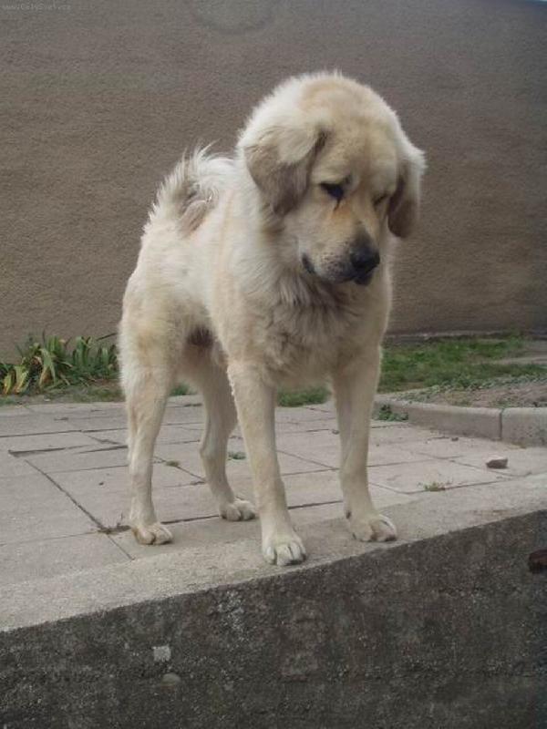 Foto: Co to je?-Apou�ek