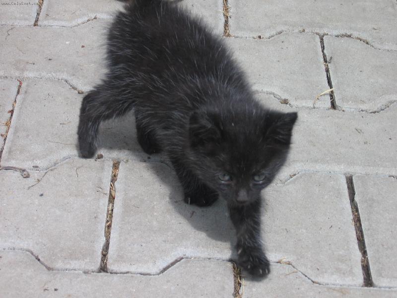 Foto: Lovec Mia-baf :D