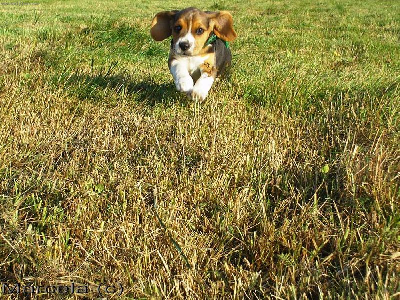 Foto: let�-�t���tko let� ou�kama