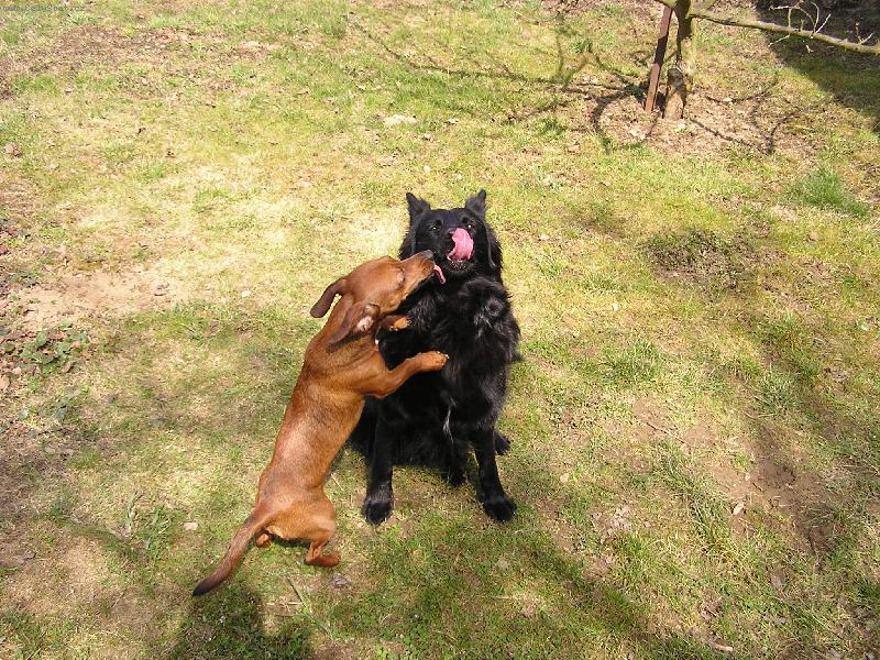 Foto: na�e spokojen� holky