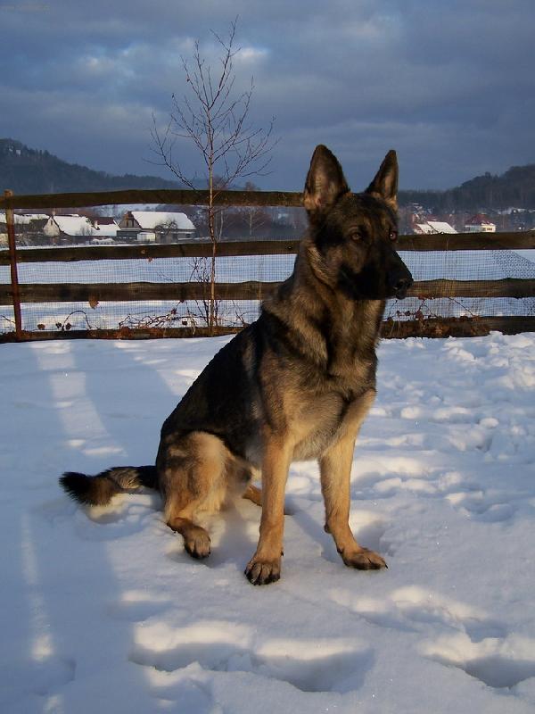 Foto: Cir z Kralupsk�ch samot