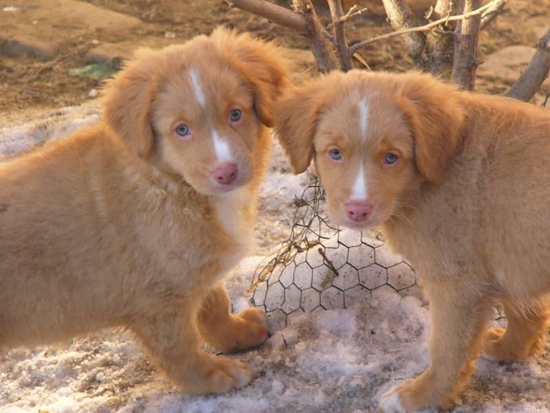 Foto: tolle�� sle�ny