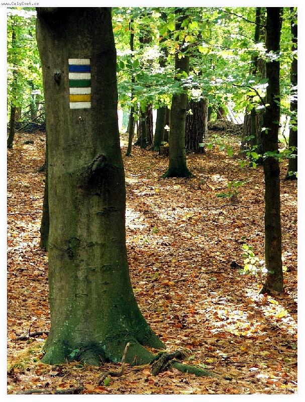 Foto: na Jem�in�