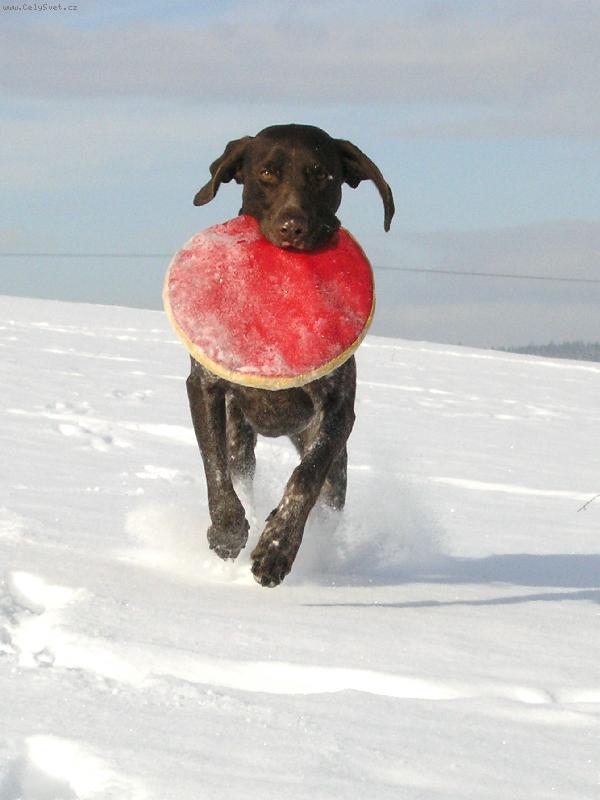 Foto: sn���h :o)