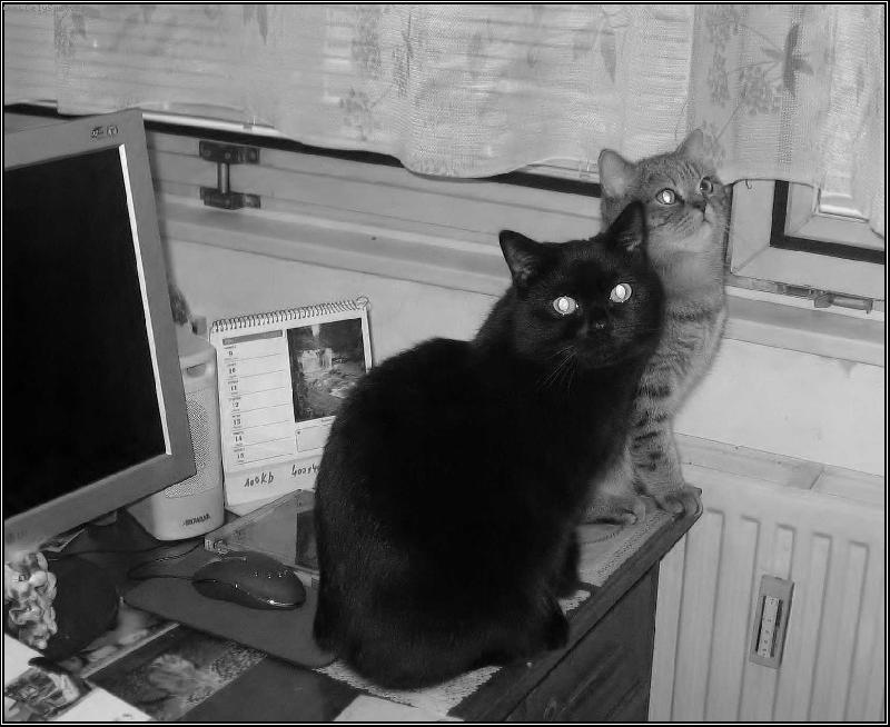 Foto: Budeme se l�bit?