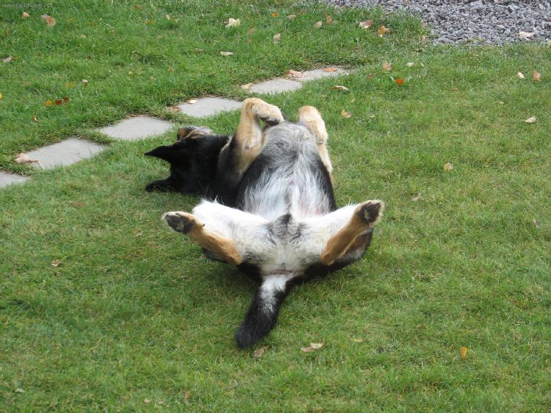 Foto: Je�t�, kdyby m� tak n�kdo p�i�el podrbat