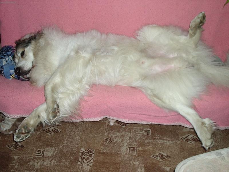 Foto: jsem spokojen�