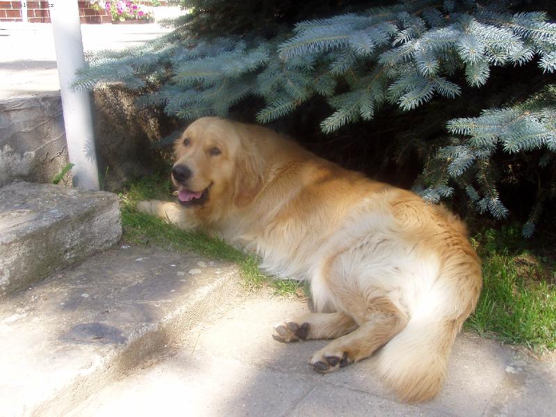 Foto: ...no ale byla to d�ina