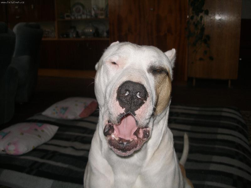 Foto: �nava-unava je tu