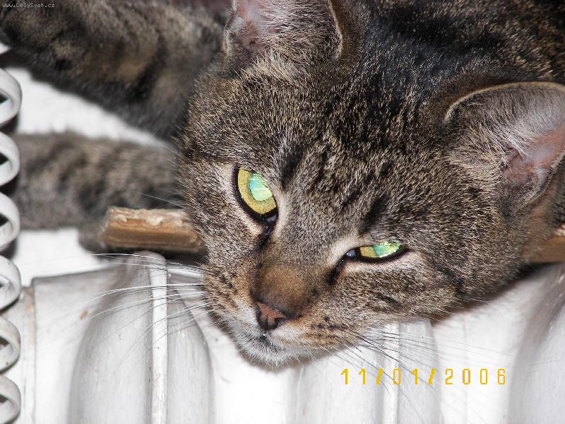 Foto: Tady je teplou�ko...