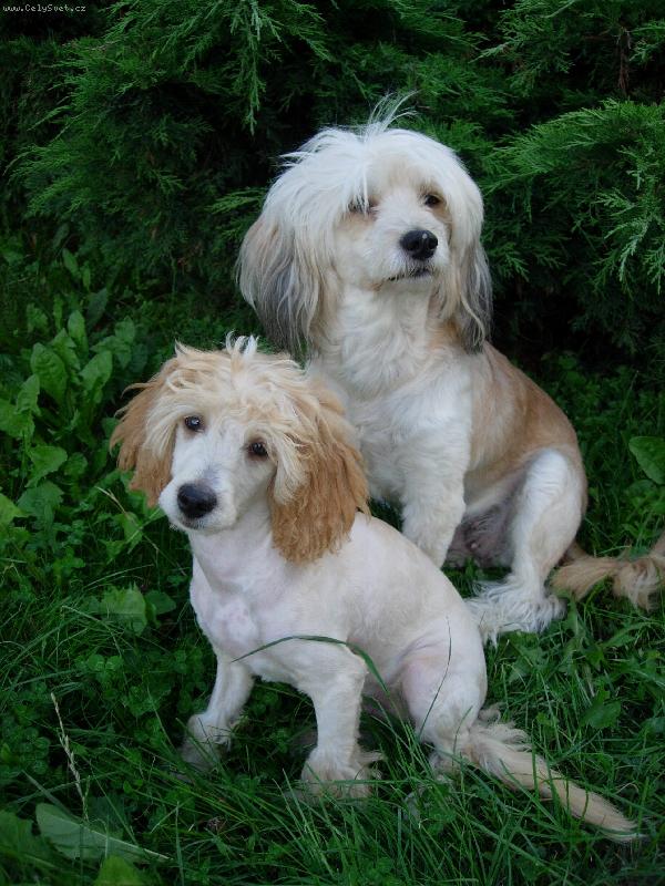 Foto: m�ma a syn-Danu�ka a Mat�sek p�i p�zov�n�