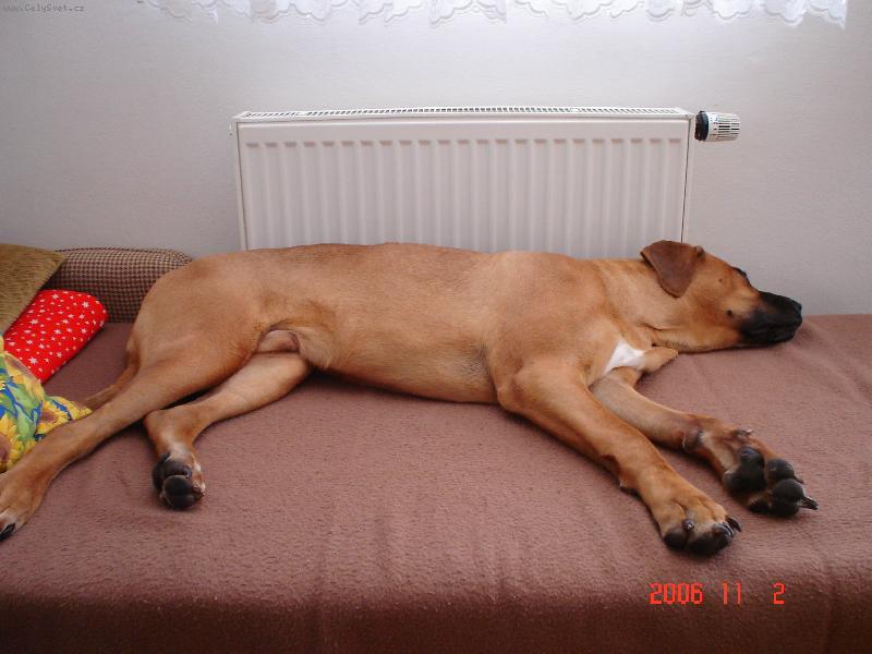 Foto: �t���tko sp�