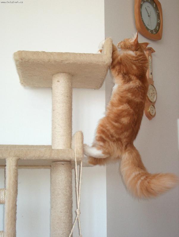 Foto: Kaskad�r Franti�ek