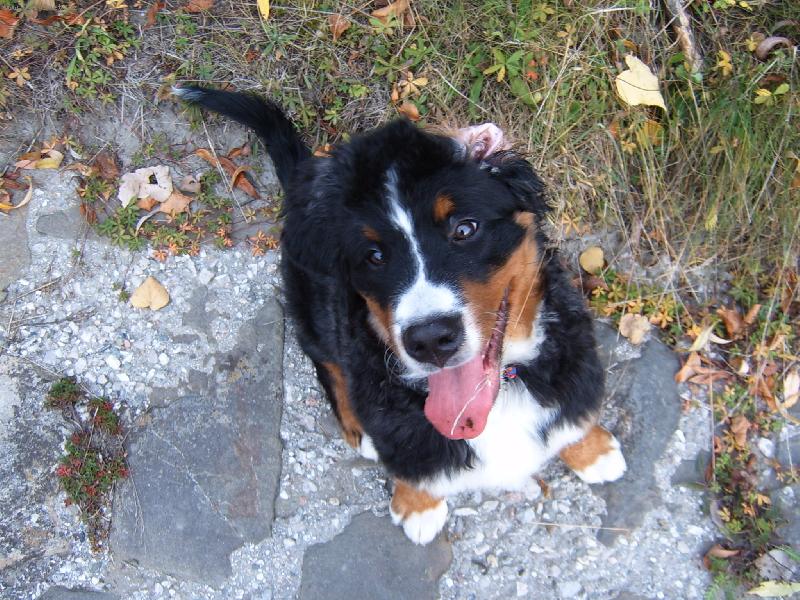 Foto: A co jste si mysleli?