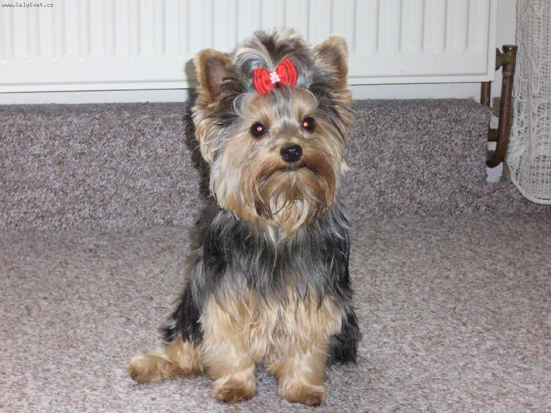 Foto: sendy-j������...