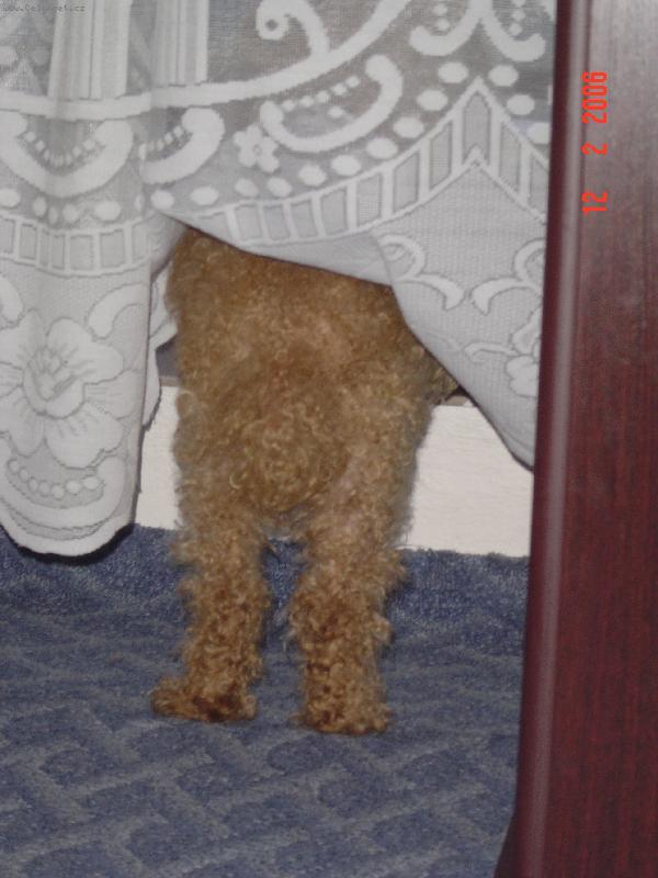 Foto: Ben��ek-Kde ty holky jsou?