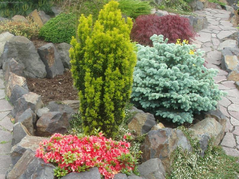 Foto: jarn� zahr�dka