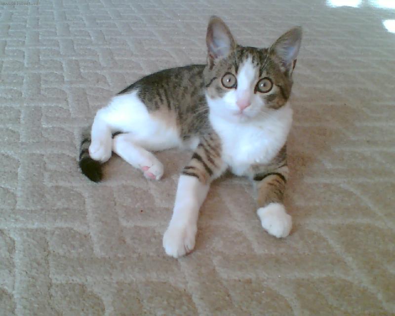 Foto: Na�e �i�ina