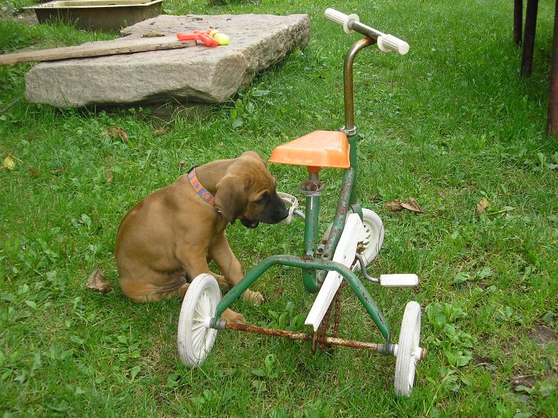 Foto: Jedu na v�let!