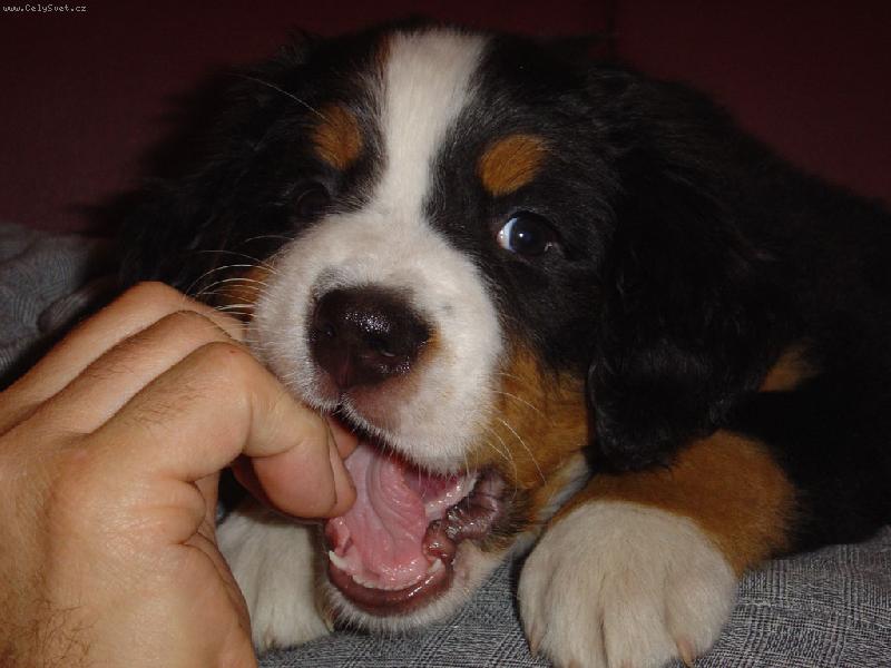 Foto: d� si tak�?:-)