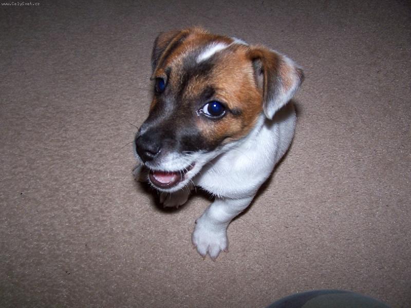 Foto: Skoty-�ibalsk� pohled