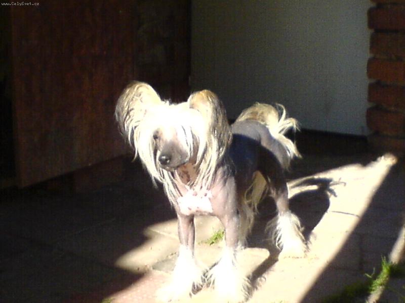 Foto: Balboa Rocky Eve-Bler